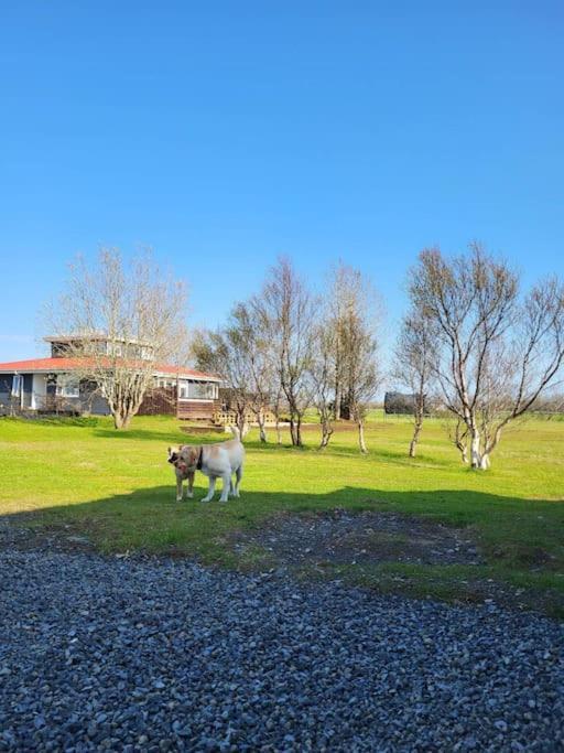Sibbu Hus Villa Brjansstadir Kültér fotó
